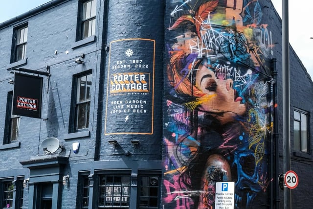 As part of a 2022 refurbishment of the Porter Cottage pub on Sharrow Vale Road, owners Blackrose Pubs commissioned this large, stunning mural on the Meadow Terrace side of the building.
