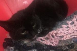 Five month old female Ivy is new to the centre and is still settling in.
