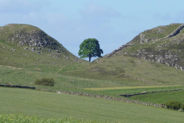 A throwback to the early 90s, Robin Hood: Prince of Thieves took advantage of more than one of Northumberland’s striking natural settings. Aside from its unusual and striking appearance, Sycamore Gap’s cameo in Robin Hood is probably the reason that it’s one of the most photographed trees in the county. If you’ve never seen it, it is a dip in the county’s National Park landscape, with a sycamore tree resting at its base, and Kevin Costner and Morgan Freeman battled against villainous knights beside it.
