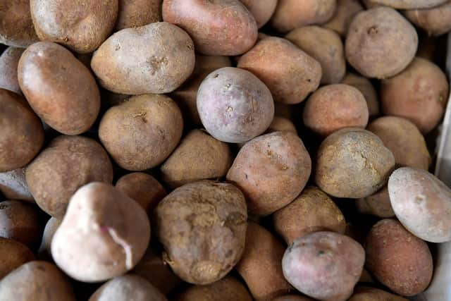 Potatoes on sale in an organic supermarket in Saintes, western France, in 2018. Picture: GEORGES GOBET/AFP via Getty Images.