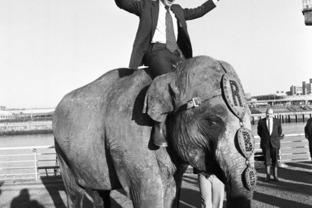 Ian Lang MP on the back of Maureen, Robert Brothers circus elephant, at the Glasgow Garden Festival site in January 1988.