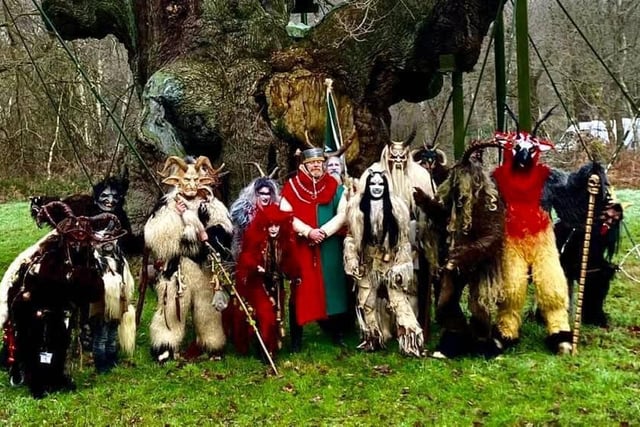 A terrifying collection of scary 'Krampus' creatures  (from the Whitby Krampus Run group) are seen gathering at the Major Oak in Sherwood Forest.  They are pictured with the Sheriff of Nottingham (Richard Townlsey) during the Spirits of the Forest and Wassailing weekend. The Krampus along with evil spirits of the forest, were sent on their way during a traditional 'wassailing' ceremony.
The Krampus is a central European legend, concerning a half-goat, half-demon creature that punishes naughty children at Christmastime whilst ‘wassailing’ is a Twelfth Night tradition, rooted in the pagan custom of visiting orchards to sing to the trees and spirits in the hope of ensuring a good harvest. 
A spiced mulled cider brew is traditionally drunk from a special wassailing.