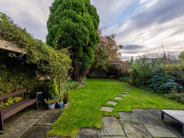 Garden.