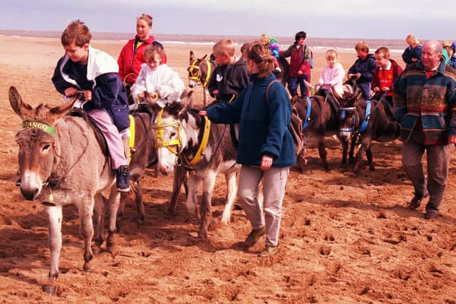 The donkeys taking children up the beach on the Shiregreen Working Men's Club trip to Skegness in April 1999