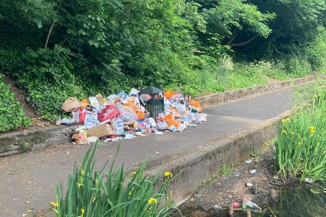 Sheffield Council is urging people to take their rubbish home with them