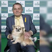 William Heap and OK, Chihuahua (Long Coat) Best of Breed winner, at Crufts 2022 at the NEC in Birmingham (pic: Dave Phillips/ Flick.digital)
