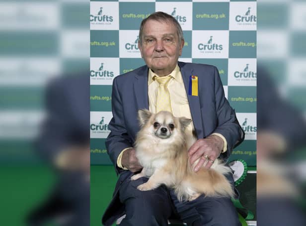 William Heap and OK, Chihuahua (Long Coat) Best of Breed winner, at Crufts 2022 at the NEC in Birmingham (pic: Dave Phillips/ Flick.digital)
