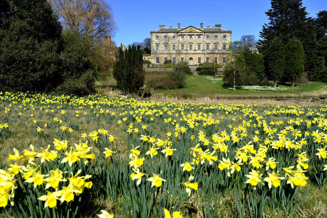 If your mum appreciates a good flower, take her to see the bright and breezy daffodils that cover Howick Hall’s gardens at the end of March.  Nearly all planted by Lady Grey after she inherited the estate in 1963, you can spot her preference for white and pale yellow, single trumpet daffodils as they flutter in the breeze. Head indoors to sip on a steaming pot of Early Grey tea in the Tea House that was once the ballroom of the Grey residence, and order fluffy scones with generous pots of clotted cream and jam to lather them with.