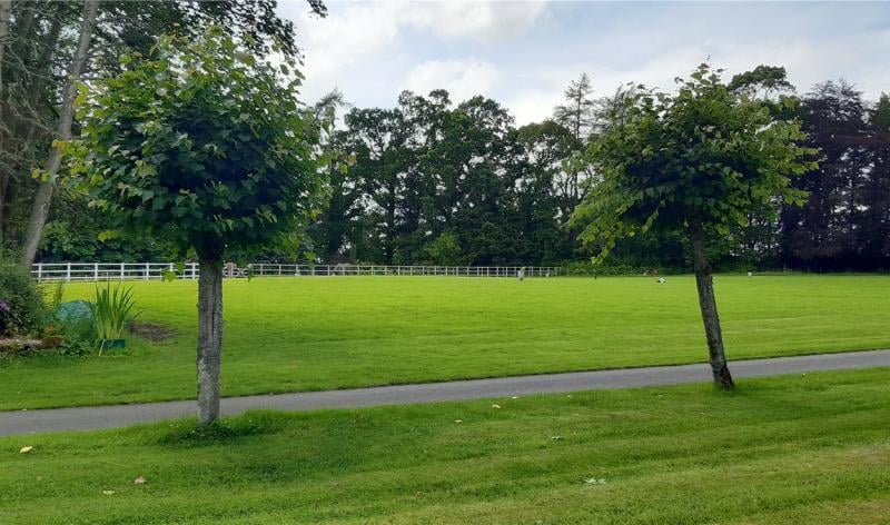 Grounds.