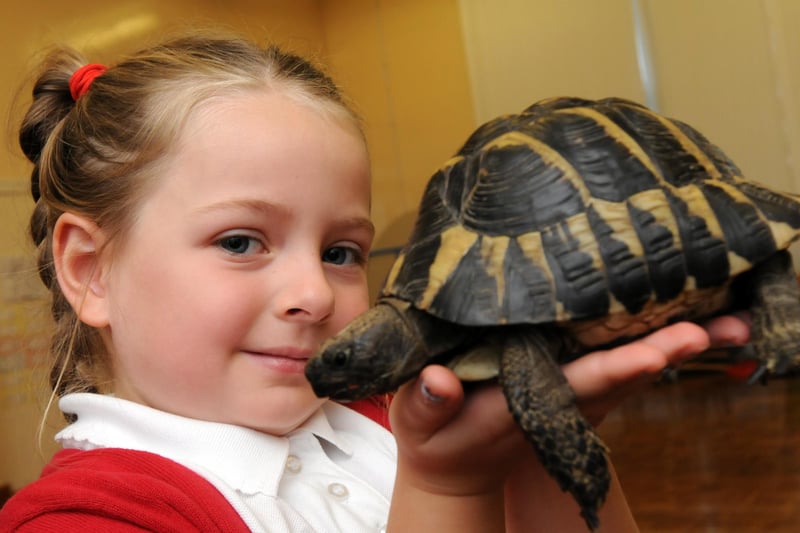Exotic creatures at Monkton Infant School. Here's Miley Ahmed with one of the visitors to the school in 2014.