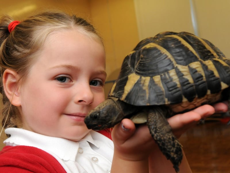Exotic creatures at Monkton Infant School. Here's Miley Ahmed with one of the visitors to the school in 2014.