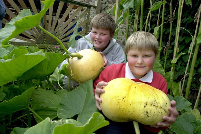 Christian, 12, and Harvey Yates, eight, of Hallamgate Road, Sheffield, were pictured in 2001 with some of the large pumpkins in their garden