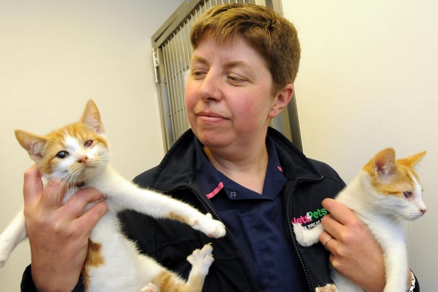 Vets 4 Pets part owner Becky Hodson with two blind kittens that were found on The Leas in 2014.