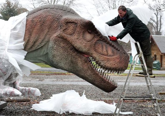 Gary Gilmour, from Blair Drummond Safari Park, unwraps and checks an Allosaurus after it arrived at the park for their new exhibition.