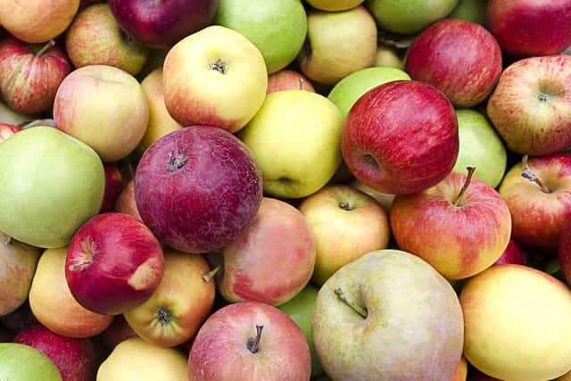 Regather are accepting all varieties of apples, as long as they are fresh.