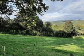 The CPRE has welcomed the first instalment of Sheffield\'s long awaited Local Plan