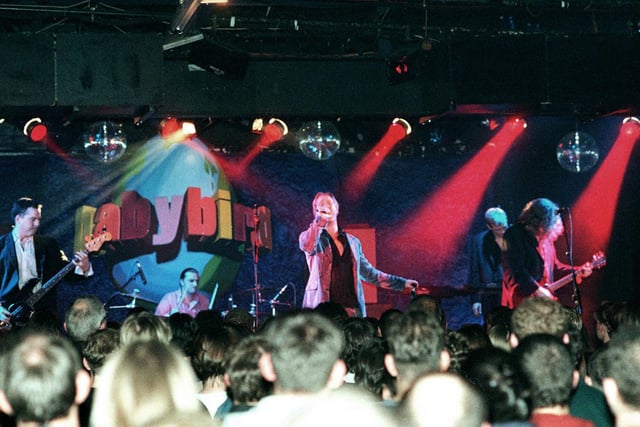You're Gorgeous: Babybird  in concert at the Leadmill back in 1996