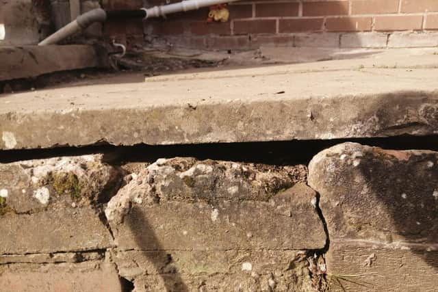 The rats are believed to be nesting in the crumbling foundations of the building.