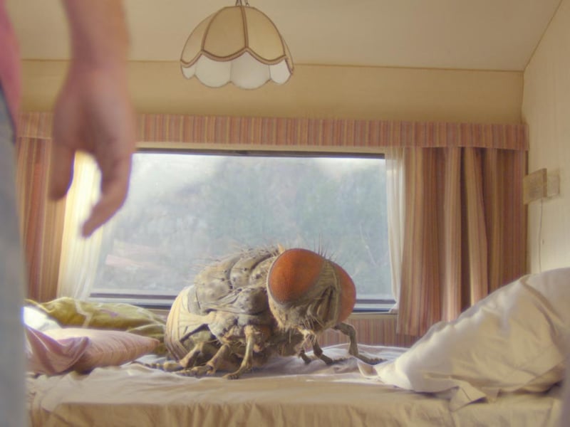 Surreal comedy where absurdism is the new normal