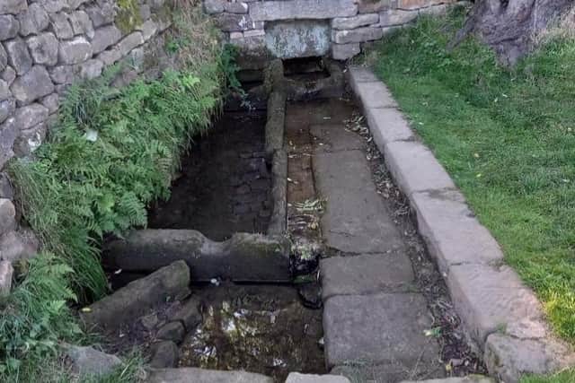 This stone wash trough at Worrall was restored with the help of a community grant from Sheffield and Rotherham Wildlife Trust