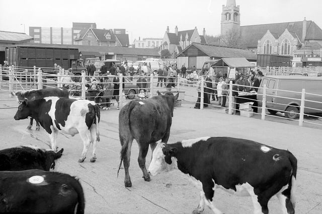 The cattle market closed in the late eighties - can you spot any familiar faces in the crowd?
