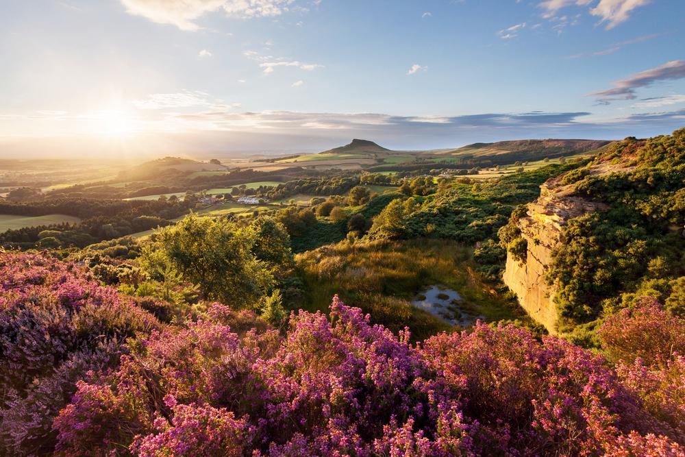 A study has revealed the most expensive streets in North Yorkshire, by average house price, over the last decade.