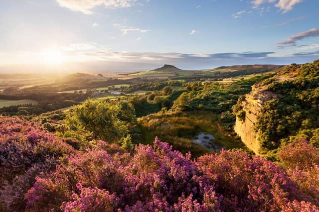 A study has revealed the most expensive streets in North Yorkshire, by average house price, over the last decade.