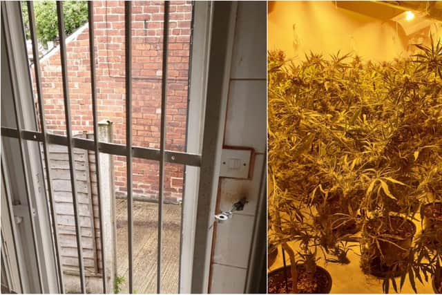 Cannabis worth £280,000 was seized during a raid of a 'fortified' house in Sheffield