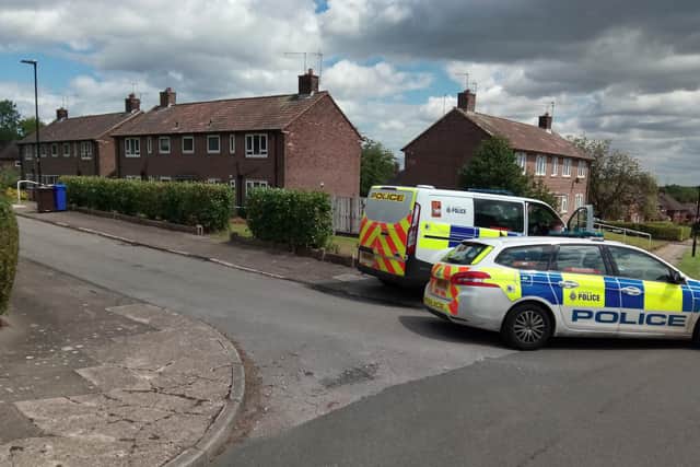 A murder probe was launched after the fatal stabbing of a woman in Richmond, Sheffield