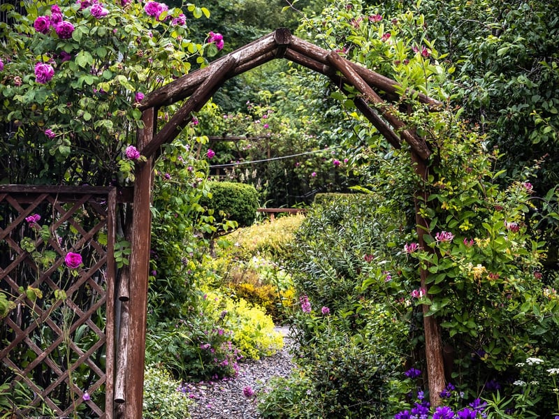 Private garden, looking onto woods at the back