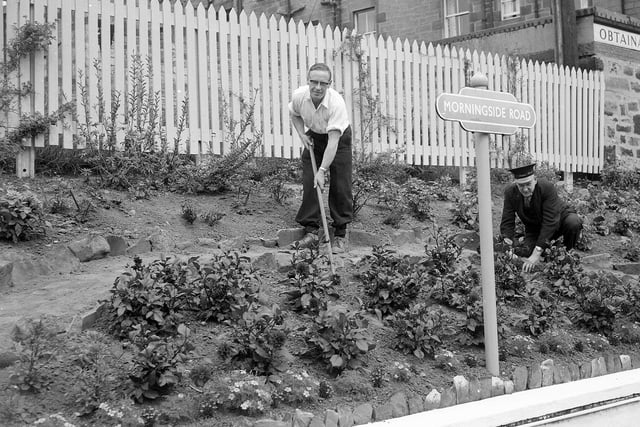 Stationmaster Thomas Dagg works on the flower beds at Morningside Station in August 1961.