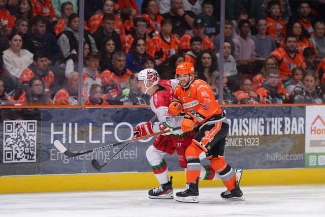 Glum Steelers fans during defeat by Cardiff Devils Pic Dean Woolley