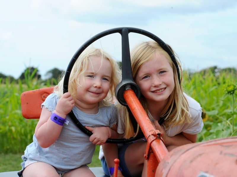 Sam's Sunflowers in Hayling Island, will be opening again this August.

Pictured is: (l-r) Iris (3) and Erin Woodford (6) from Swanmore.

Picture: Sarah Standing (040824-3982)