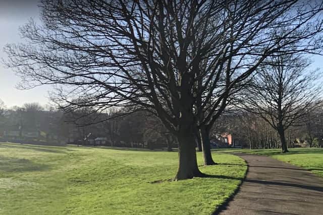 The body of a dog was discovered at Tinsley Meadow Park in Sheffield.