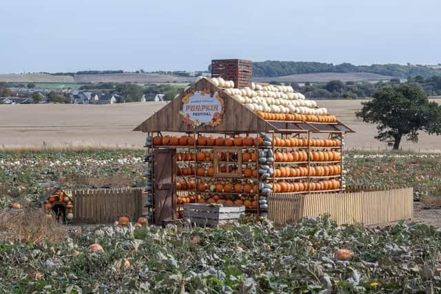 Farmer Copley’s Pumpkin Festival