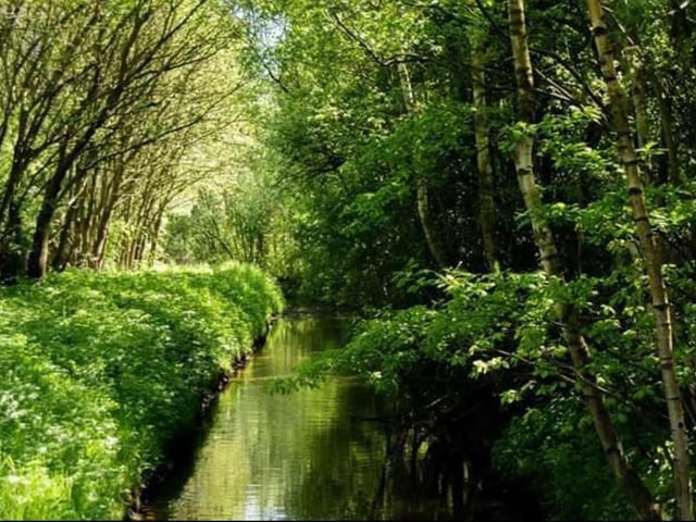 Doncaster has so many beautiful spots! from @believeinmagicimages