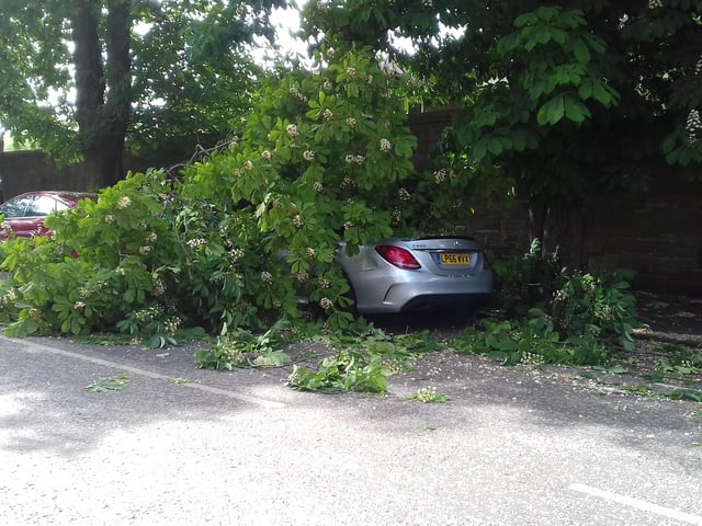 But a Mercedes appeared to be trapped in by the tree.