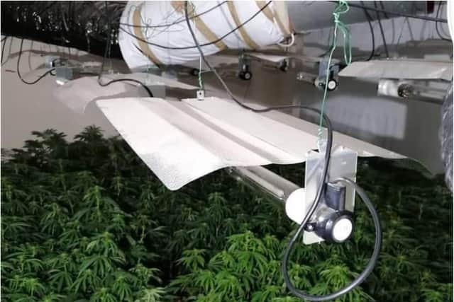 A cannabis farm was discovered in Hackenthorpe, Sheffield