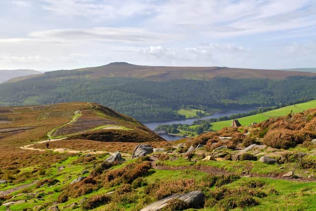 Sheffield countryside: Concerns over plans for nine-mile 'rewilding ...