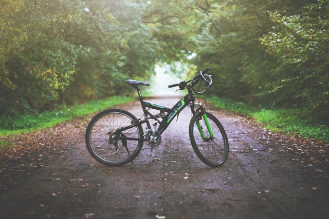 Woodland, riverside and coast - Sunderland is full of cycle paths to take you on a scenic route across the city's spaces. Just pick your pleasure and get pedalling!