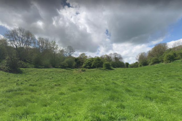 Finally, if you are in the mood for an easier stroll, explore the open fields near Horsedale. The venue is perfect for ball throwing games our four legged friends love to play.