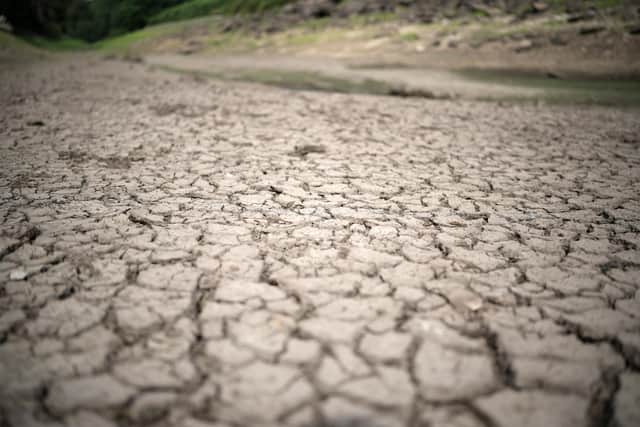 July was the driest in the UK since 1935. (Photo by Christopher Furlong/Getty Images)