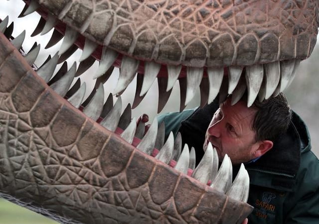 Gary Gilmour takes a peek inside the mouth of a Tyrannosaurus rex.