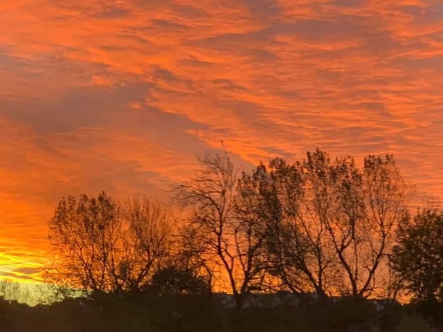 This Edinburgh sky warmed us with thoughts of pumpkin spiced lattes and autumnal leaves with its vibrant oranges and yellows set off by the haunting trees.