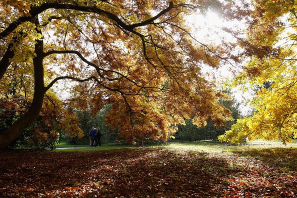 Take a walk around the beautiful grounds at Oakham Nature Reserve.