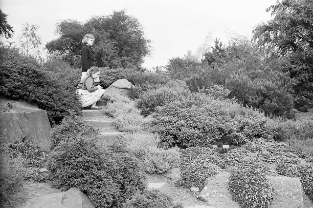 Two youngsters enjoing the Botanics' heath garden in September 1959.