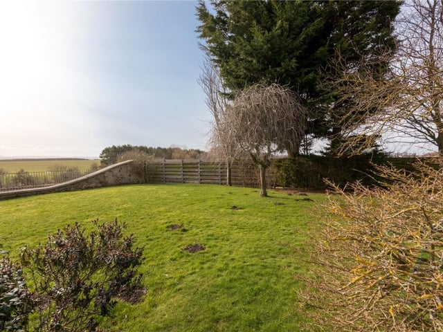 Rear garden.