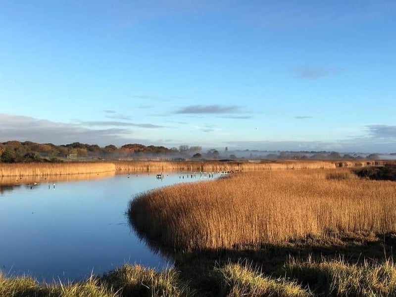 Titchfield Haven is the perfect place to go for a walk and explore a beautiful nature reserve! Adults cost £6.50 but during the school holidays (February 15 to 23), children aged 5-15 years can go free! The children can also become Mini Rangers during their visit, by hiring a backpack for £1. The backpack includes binoculars, a hand lens, ID guides, activity sheets and stickers. Little ones love to find the Fairy Doors. For details visit https://www.hants.gov.uk/thingstodo/titchfield/families
Picture: Colin Grice