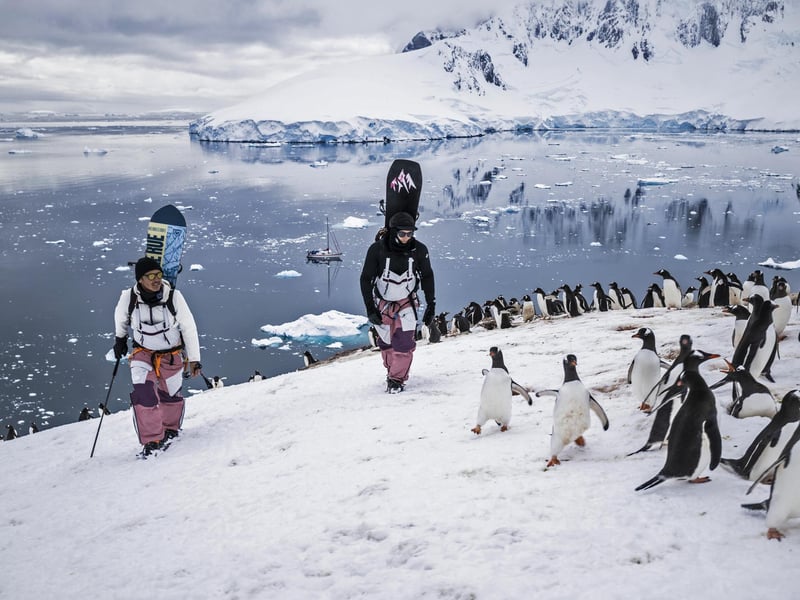 Heart-in-mouth adventure films from the world’s most remote peaks, brought to the heart of Millennium Square. This isn't just for climbers; it’s a stunning cinematic journey featuring extreme journeys and untamed characters. 📍 The Carriageworks Theatre, Millennium Square