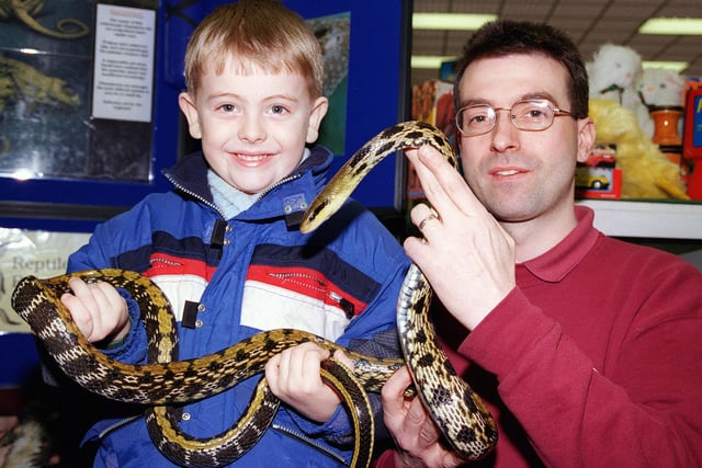 Davy Frost, aged five, of Arksey, checks out a Boa Constrictor, with the help of John Conlan, of the Proteus reptile rescue and sanctuary, at the  Pets at home snake event in Doncaster